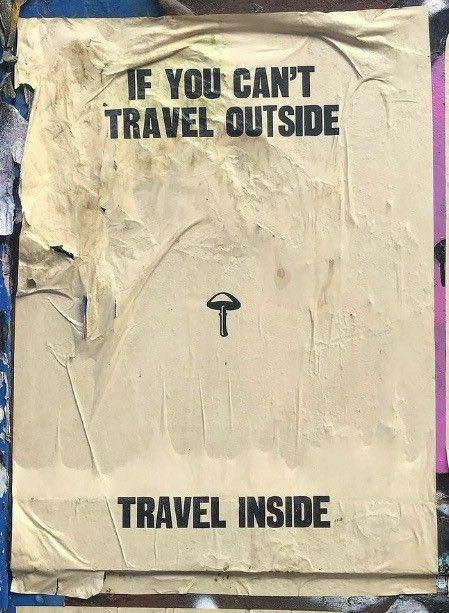 Travel inside